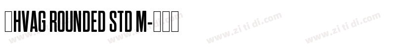 韩HVAG ROUNDED STD M字体转换